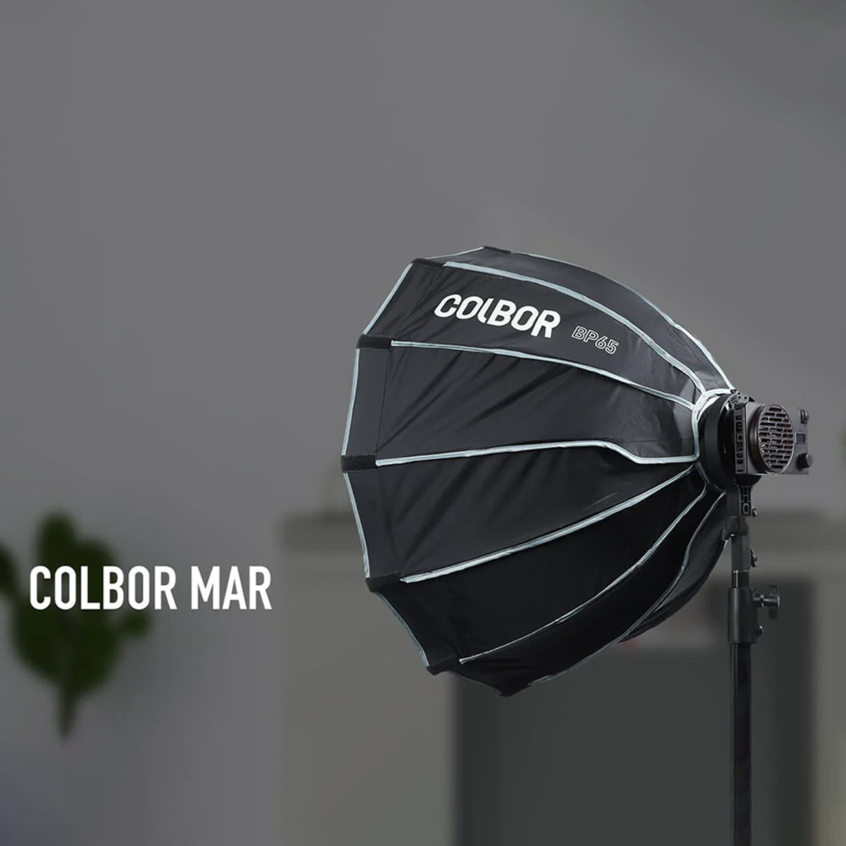 "Colbor Mar" Bowens çevirici