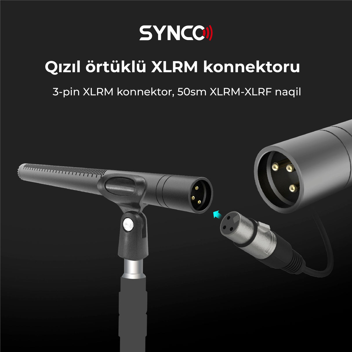 Synco Mic D2