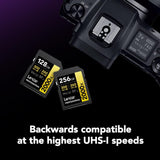 Lexar Professional SDXC 300mb/s 2000X UHS-II U3 V90
