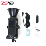 ZSYB Y300S