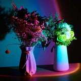 Sunset Projection Lamp, USB Powered