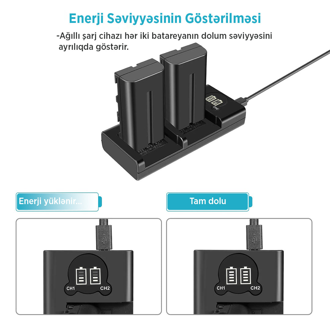 NEEWER NP-F550 set with 2 channel charger